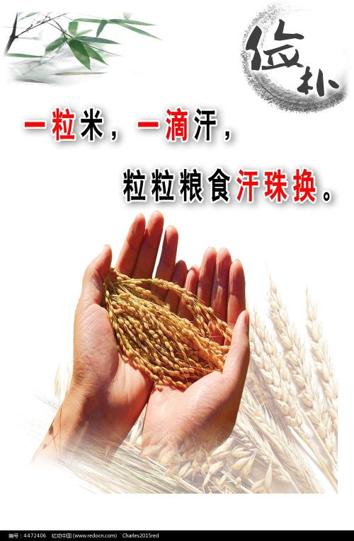 巴里理工大学Computer Science Diploma